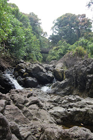 DSC_0927.jpg