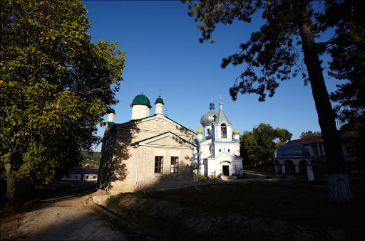 IMG_1486.jpg