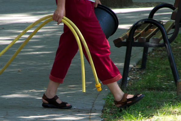 cipok09.jpg