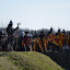 DSC_0338.JPG
