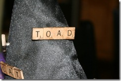 IMG_3689 IMG_3689