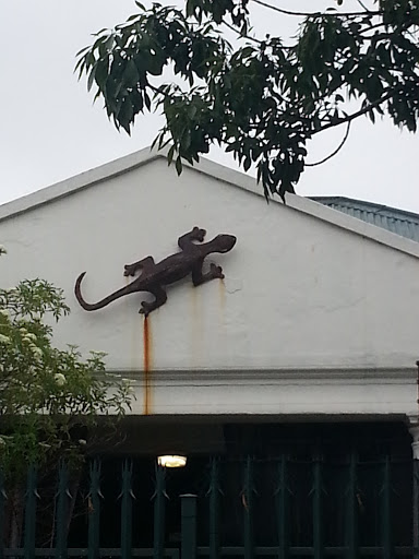 Gecko on Wall