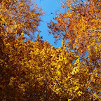 20091101 Allgaeu 0257 [640x480].JPG