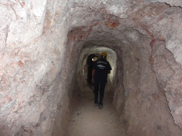 [DSC022182.jpg]