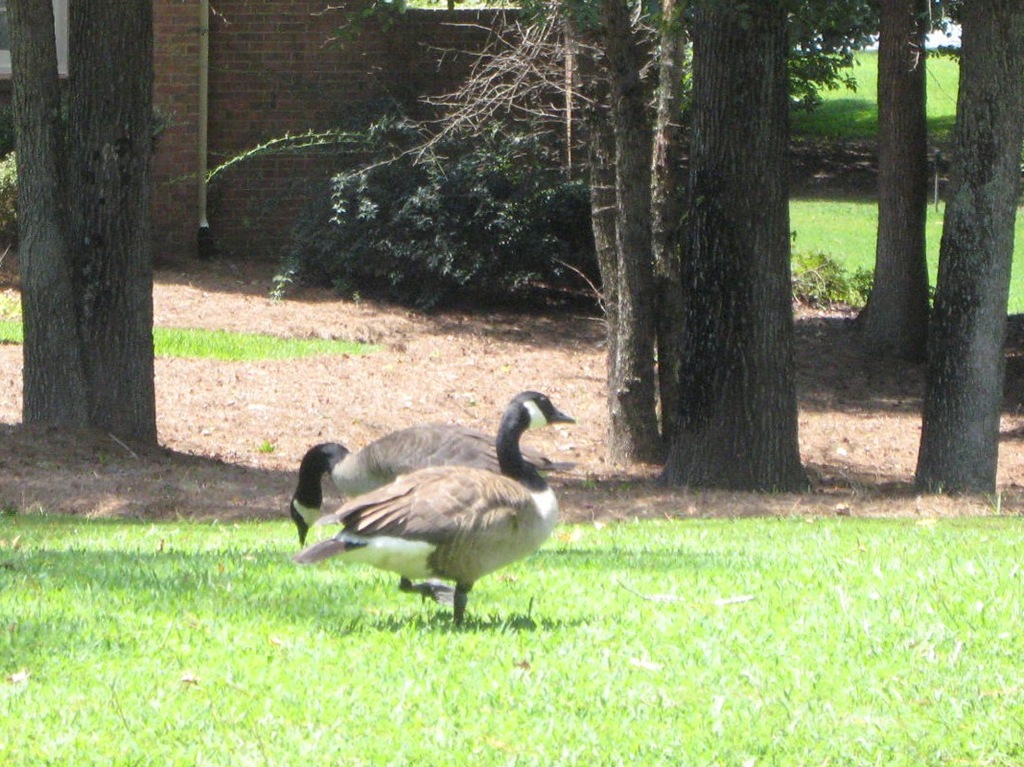 [IMG_00871%255B1%255D.jpg]