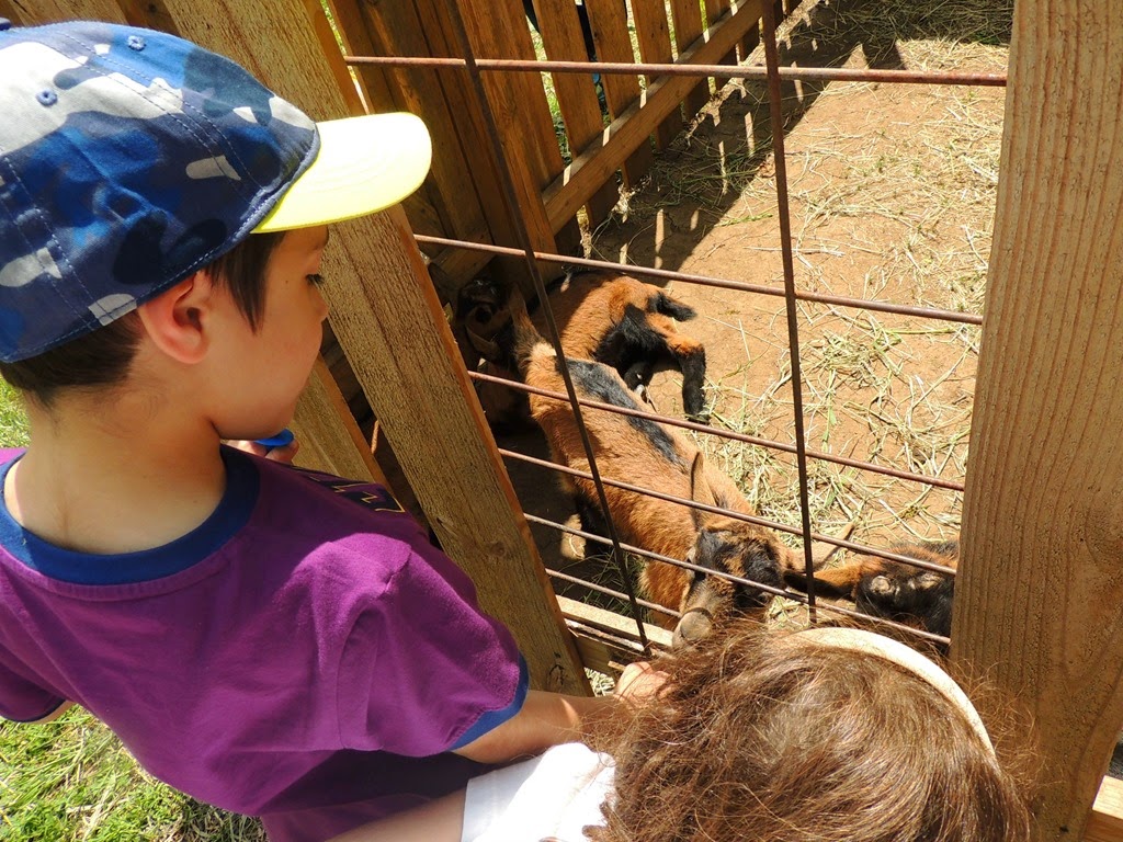 [DSCN8950%255B3%255D.jpg]