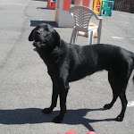DSCN4679.jpg