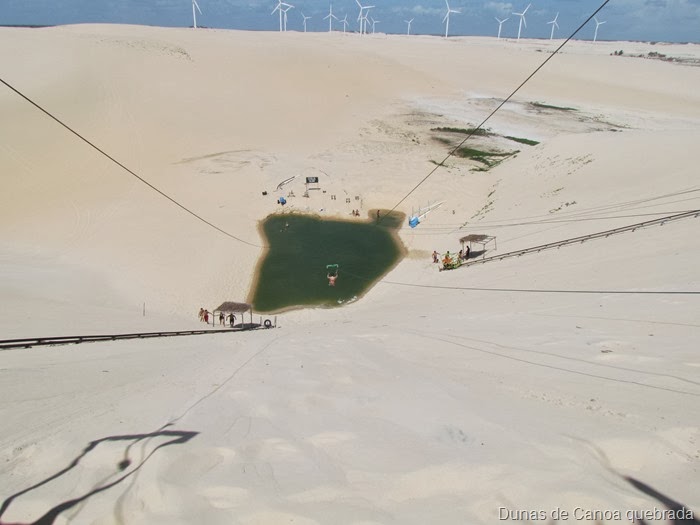 Oasis entre as dunas Oasis entre as dunas