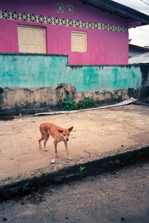 [XA_Superia400_Perlas0118%255B5%255D.jpg]
