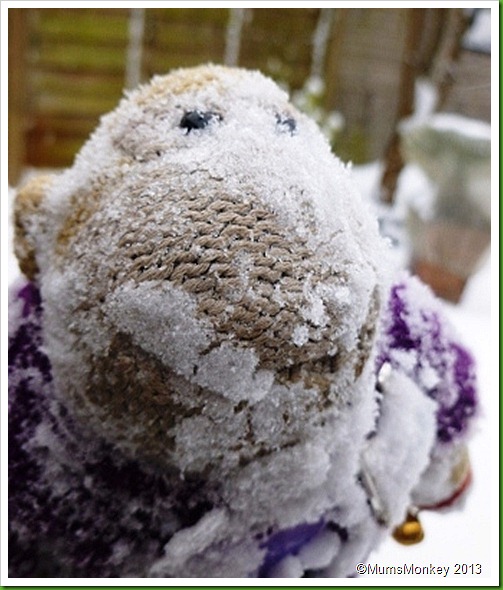 Snow Face Snow Face