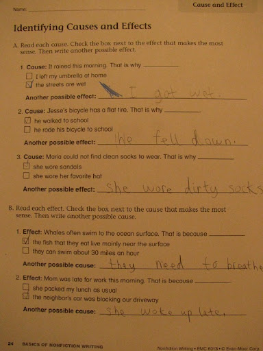 third grade cause and effect worksheets