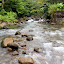 Crossing The River - Roseau, Dominica