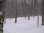 Vacuum helps the sap run even in poor weather.