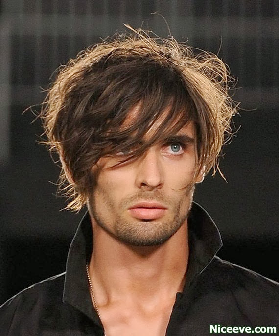 Hair styles 2014 Feathered Hairstyles imgd51b7743557ecba9ed9dc3f83bfe0288.jpg