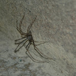 DSC_8526.JPG