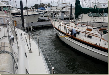 sandyIMG_1505 sandyIMG_1505