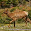 _MG_9267.JPG