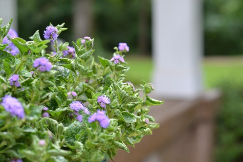 DSC_0187 DSC_0187