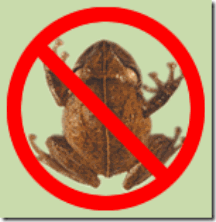 no_frog