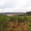 PB110022.jpg
