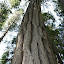Olympic Peninsula