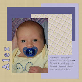 picasa image