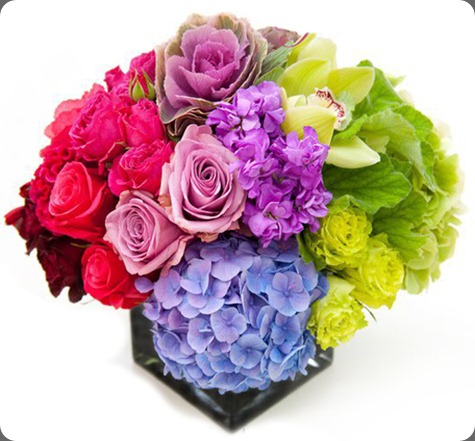 73583_121994414528100_100001526256267_140053_1469459_n bloom by Anuschka 73583_121994414528100_100001526256267_140053_1469459_n bloom by Anuschka