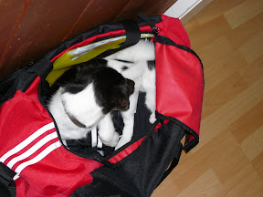 P1000143.JPG