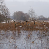 2010-01-09 Osada dziś