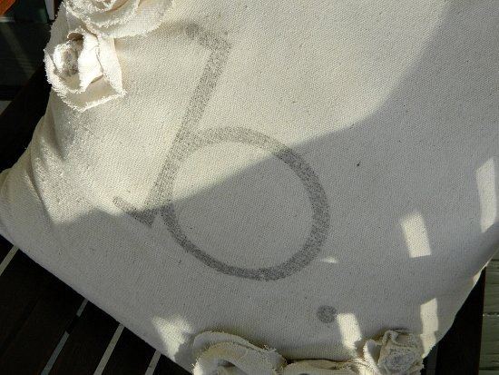 [Drop%2520Cloth%2520Monogrammed%2520Pillow%25207%255B4%255D.jpg]