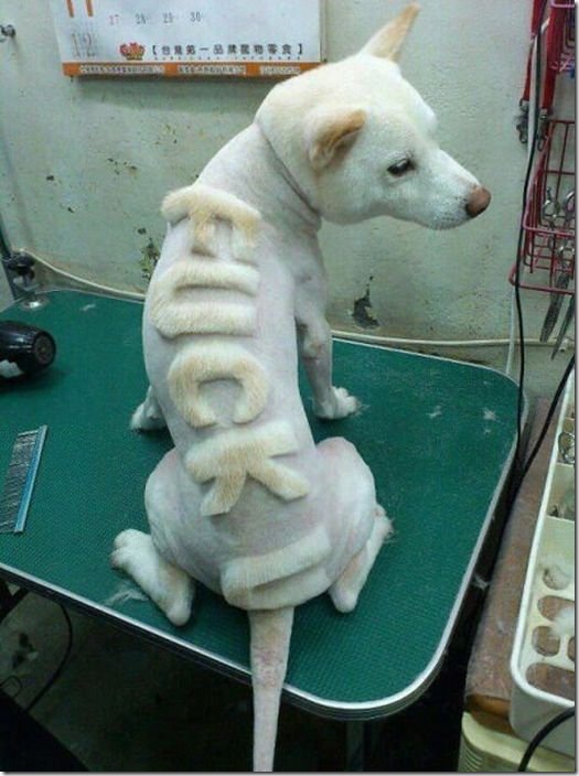 viral-picdump-pics-86424a