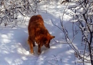 20150225_123338 20150225_123338