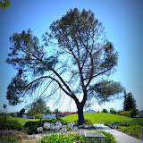 Guadalupe Gardens