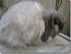IMG_1047 IMG_1047