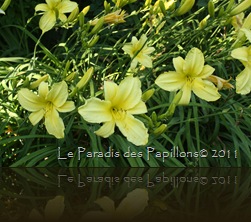 IMG_6285 IMG_6285