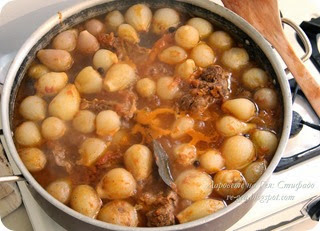 stifado_2851 stifado_2851
