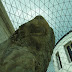 DSC06906.JPG