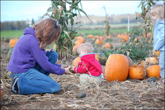 Fall 2010 687