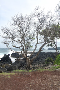 DSC_0921.jpg
