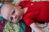 Oscar on Mom's "I Spy" quilt