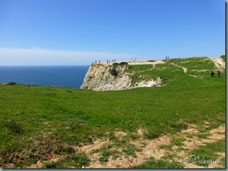 P1020131 P1020131