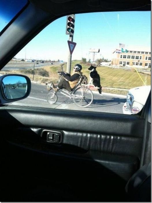 viral-picdump-pics-729b84