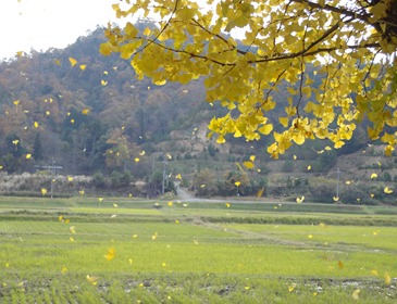 DSC01406 DSC01406