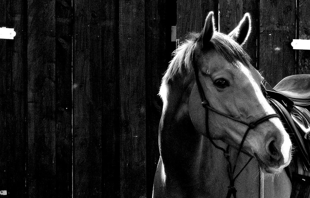 [21%2520May%25203-001%255B3%255D.jpg]