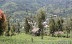 Mount_semeru_29.JPG