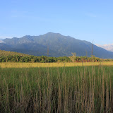 Mount Cyclops range (Andrew Williams)