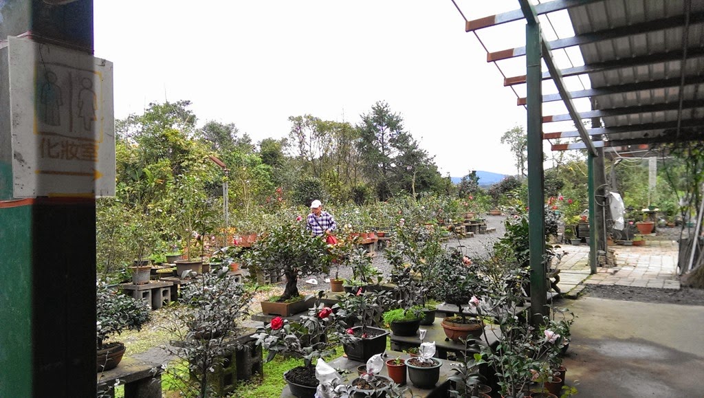 [IMAG1290%255B7%255D.jpg]