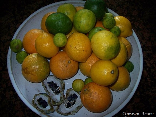 [platter23.jpg]