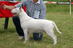 Astra Zeruel