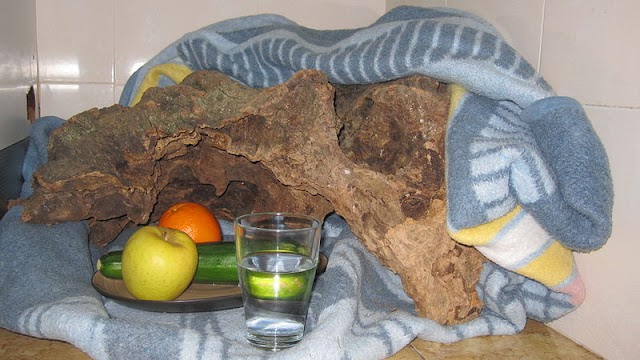 Tió.JPG